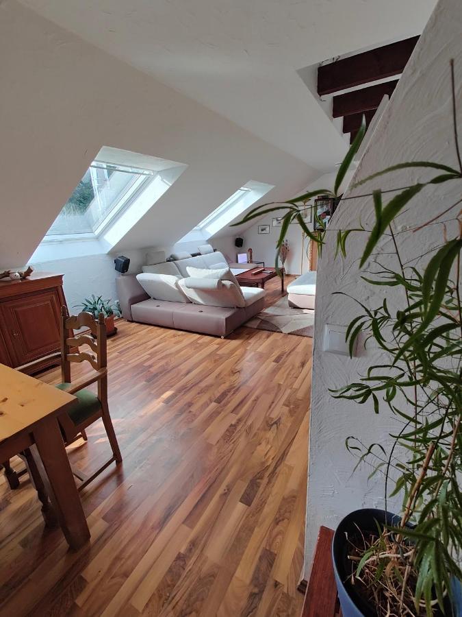 Komfort Ferienwohnung Biene Саарбрюкен Екстер'єр фото