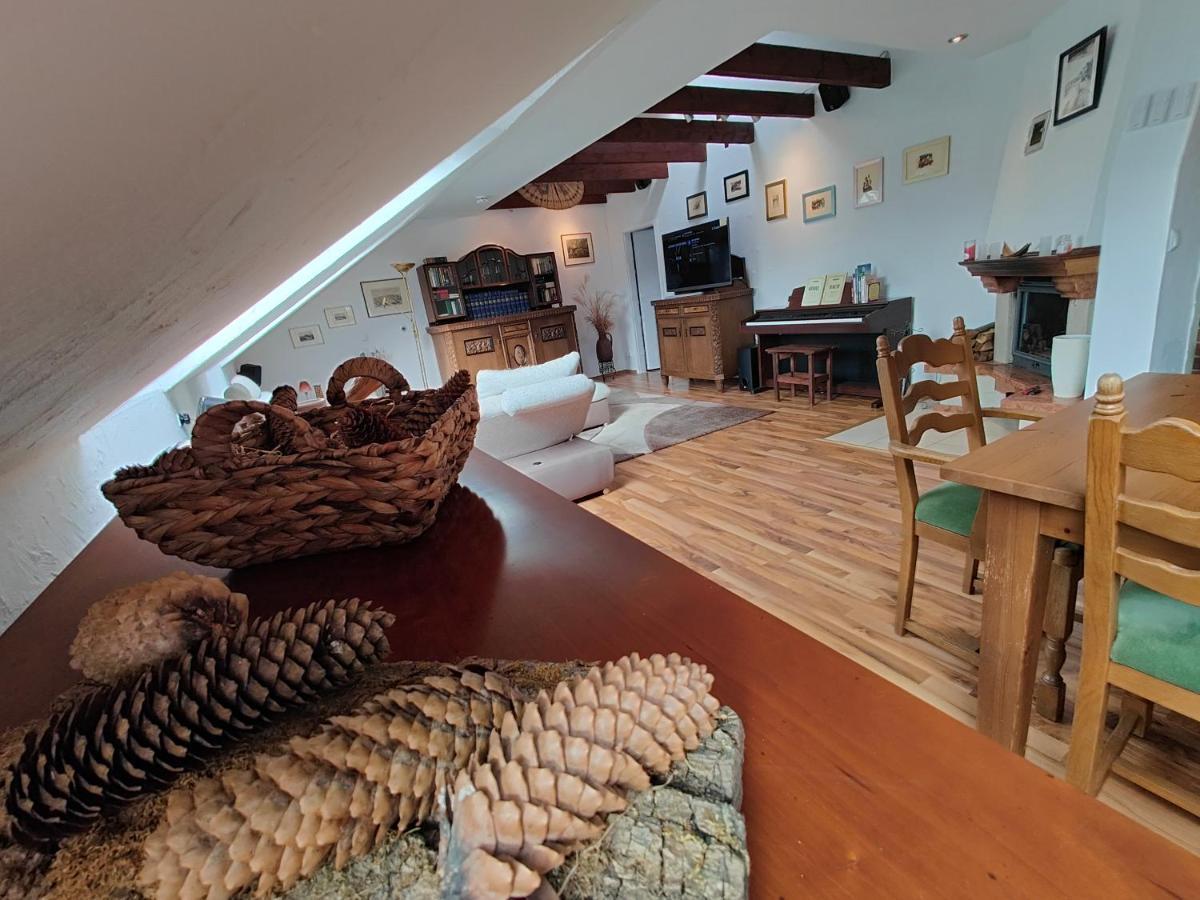 Komfort Ferienwohnung Biene Саарбрюкен Екстер'єр фото
