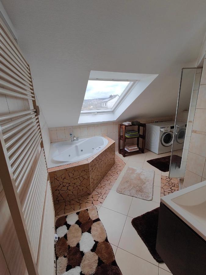 Komfort Ferienwohnung Biene Саарбрюкен Екстер'єр фото